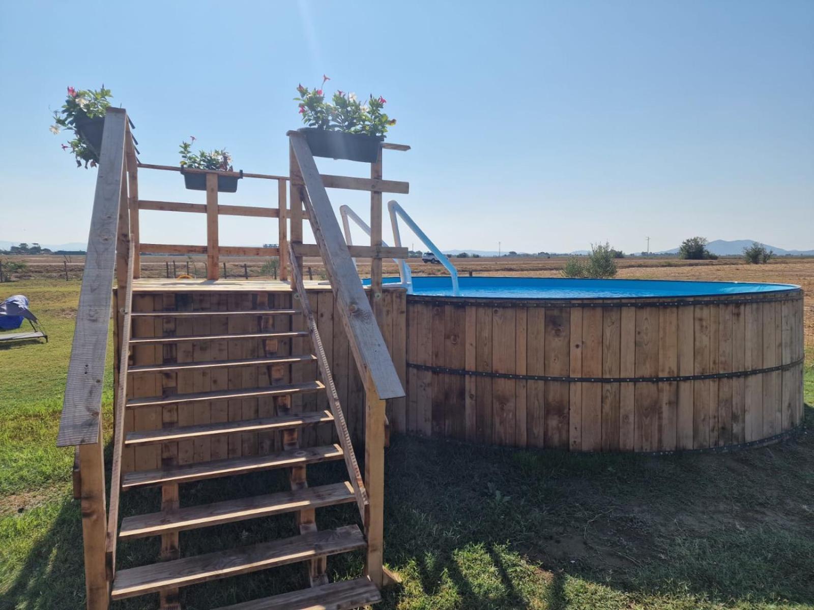 Agriturismo Il Roseto มารีนาดีกรอซเซโต ภายนอก รูปภาพ