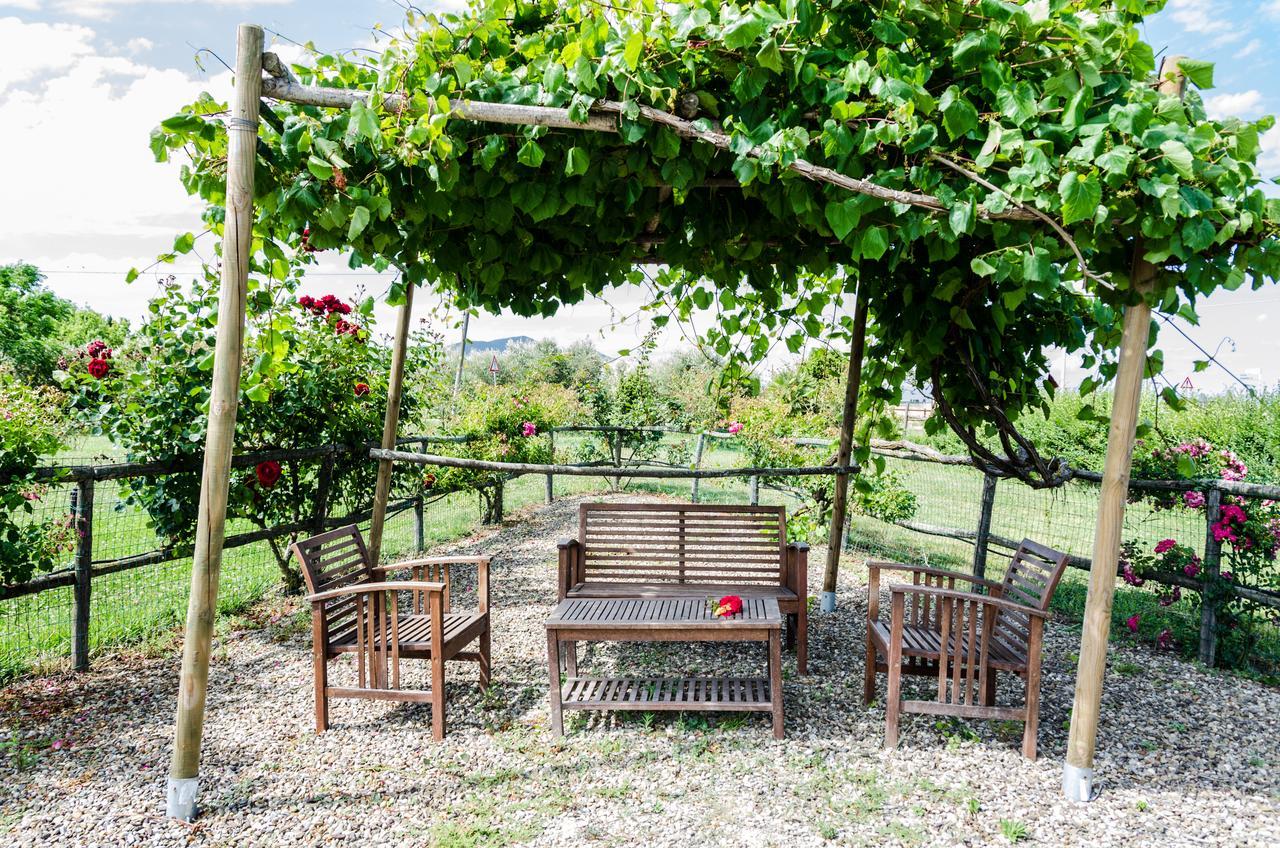 Agriturismo Il Roseto มารีนาดีกรอซเซโต ภายนอก รูปภาพ